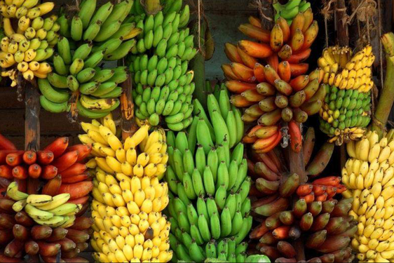 Les Bananes en Folie